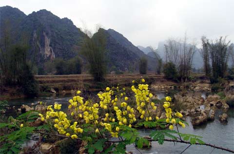 Sắc xuân nở rộ trên vùng cao